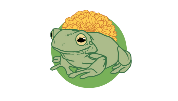 Marigold Frog